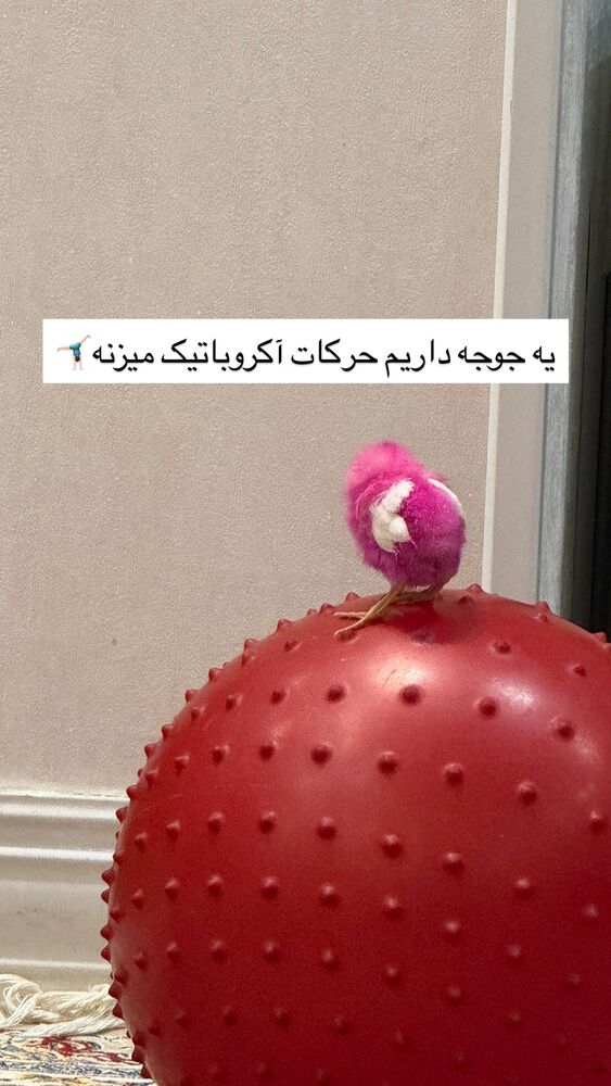  جدید ترین استوری اینستاگرام مهدیه سادات میرجلیلی