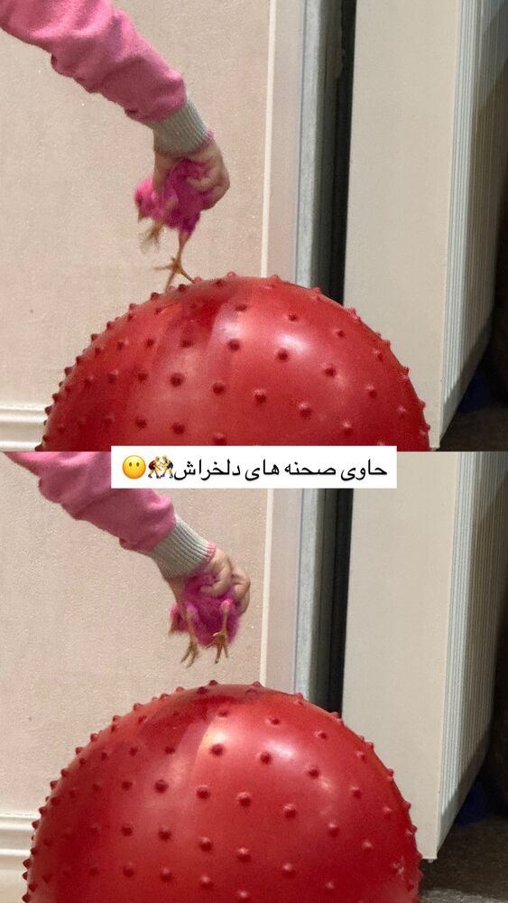  جدید ترین استوری اینستاگرام مهدیه سادات میرجلیلی