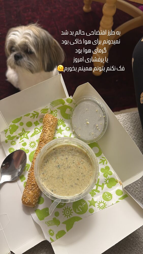  جدید ترین استوری اینستاگرام مهدیس مباشرتی