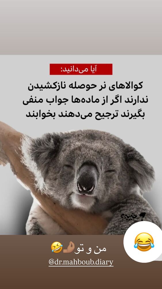  جدید ترین استوری اینستاگرام مهدیس مباشرتی