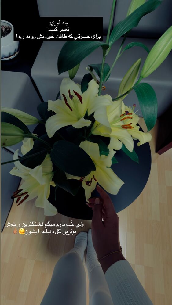  جدید ترین استوری اینستاگرام مهدیس مباشرتی