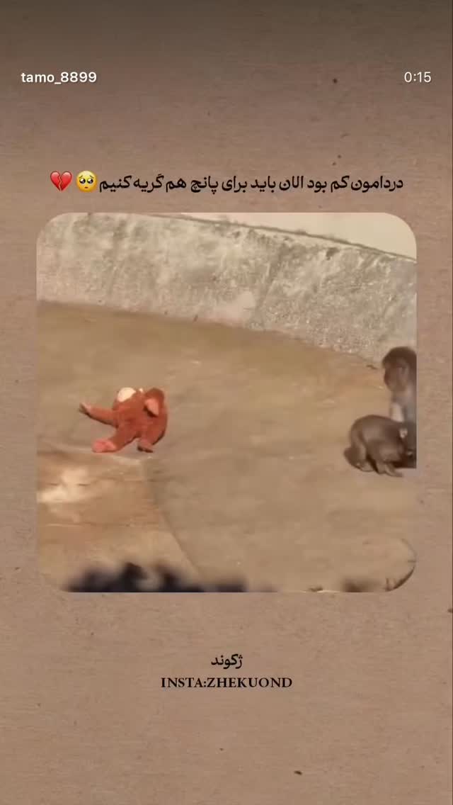  جدید ترین استوری اینستاگرام مهدیس مباشرتی