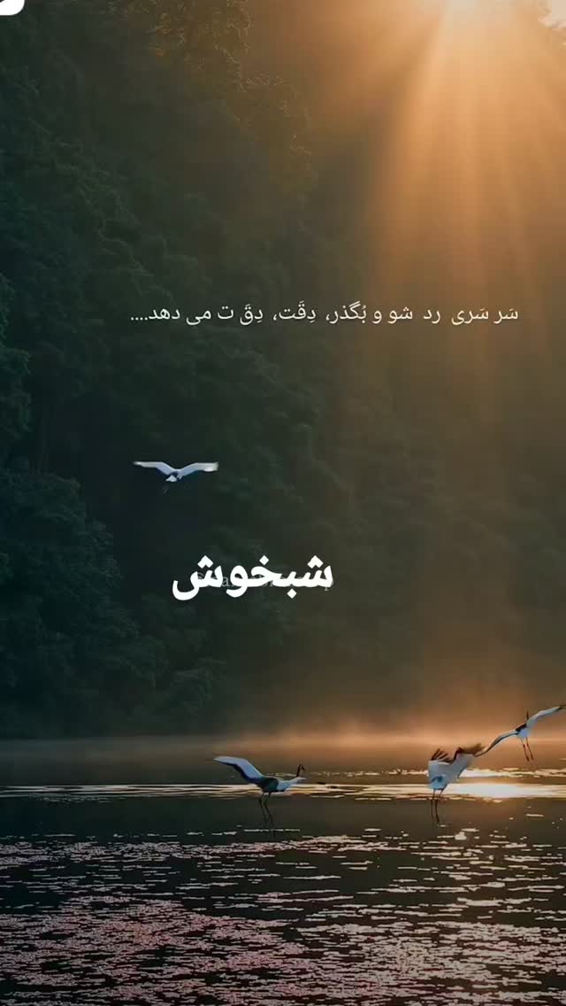  جدید ترین استوری اینستاگرام مهدیار کلائی