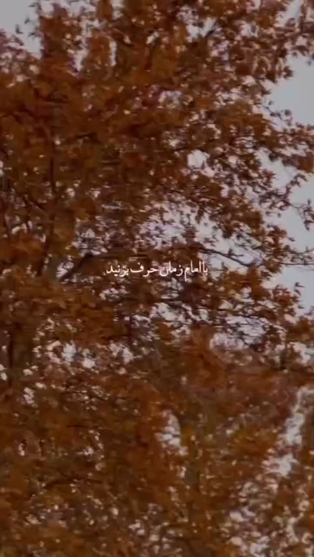 جدید ترین استوری اینستاگرام فاطمه بیرامی