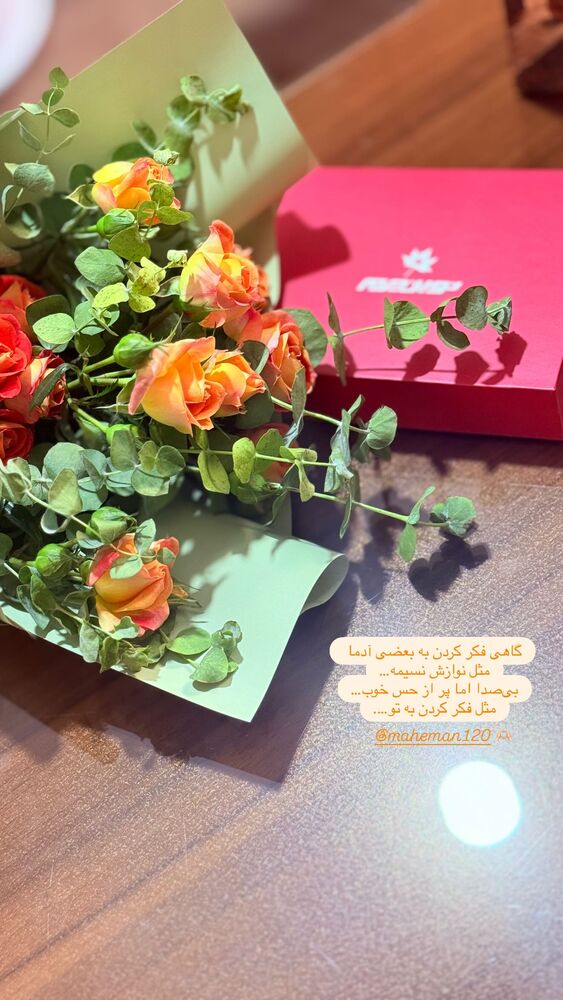  جدید ترین استوری اینستاگرام فاطمه بیرامی