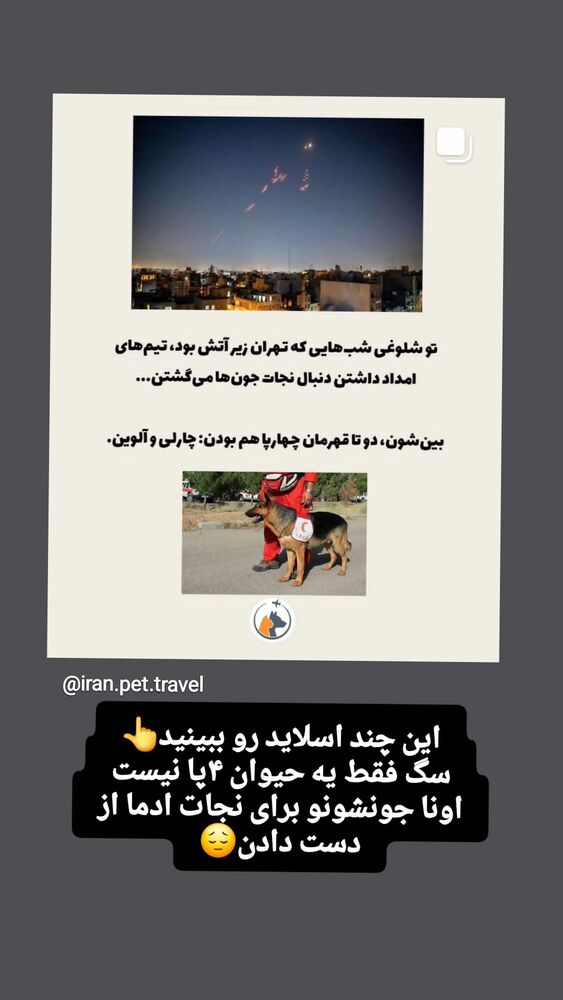  جدید ترین استوری اینستاگرام محمود ایرانی