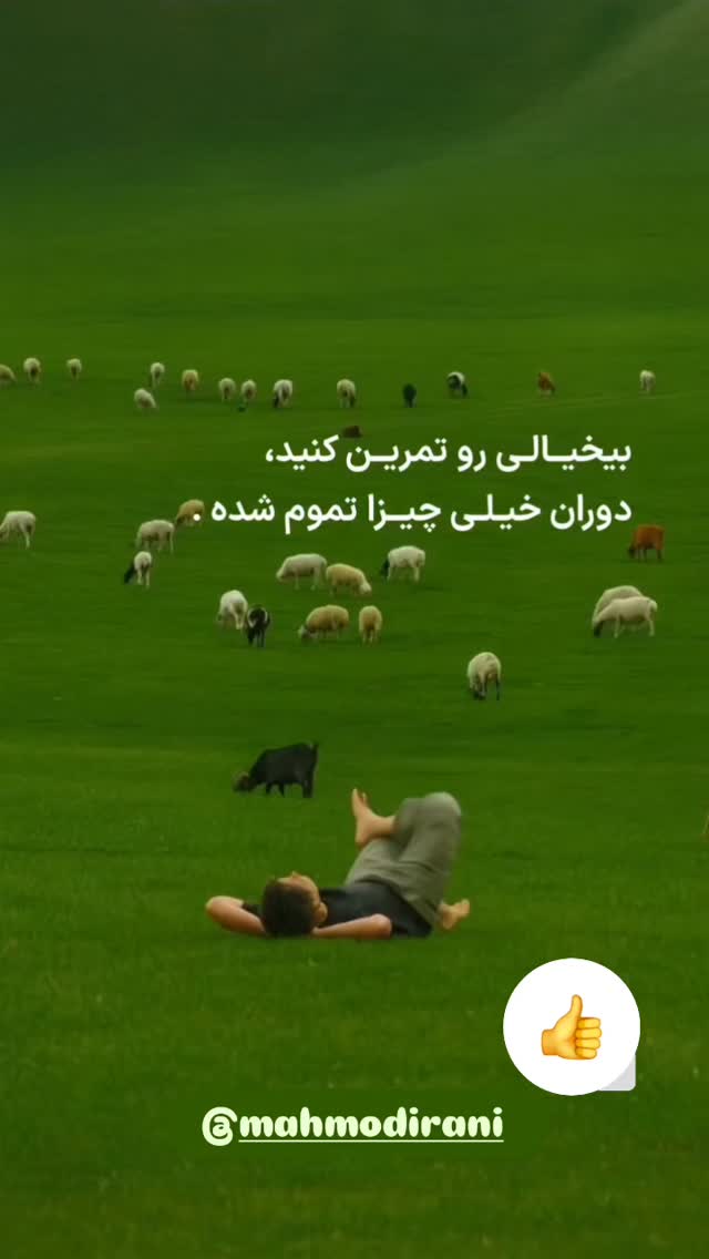  جدید ترین استوری اینستاگرام محمود ایرانی