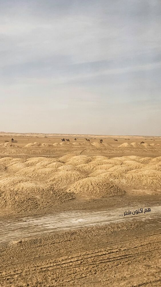  جدید ترین استوری اینستاگرام مهسا شمس