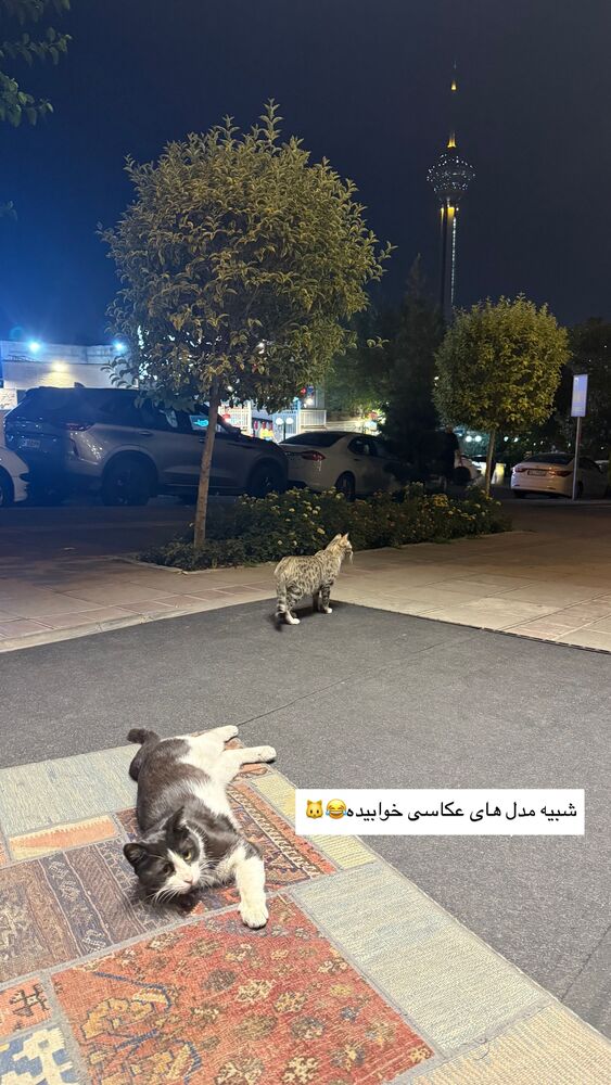  جدید ترین استوری اینستاگرام مهسا آقادادی