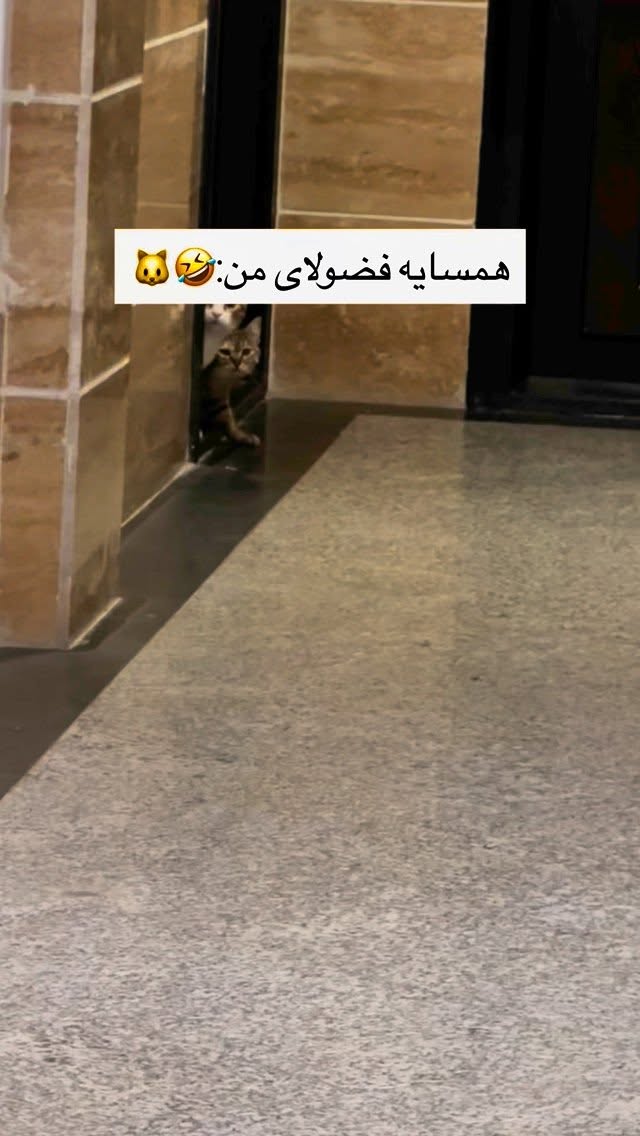  جدید ترین استوری اینستاگرام مهسا آقادادی