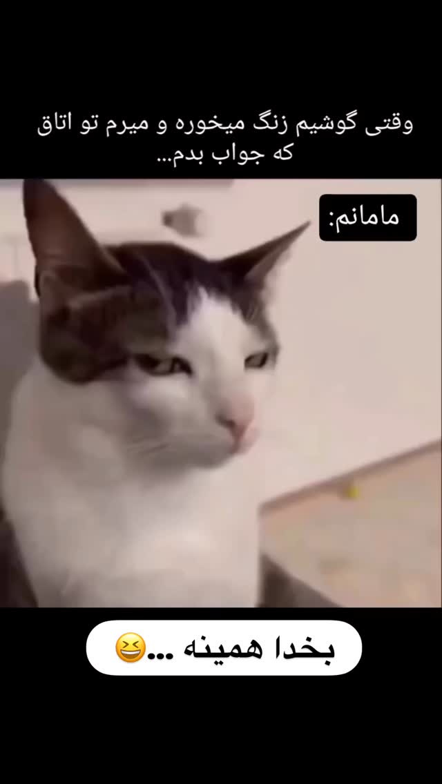  جدید ترین استوری اینستاگرام مهسا آقادادی