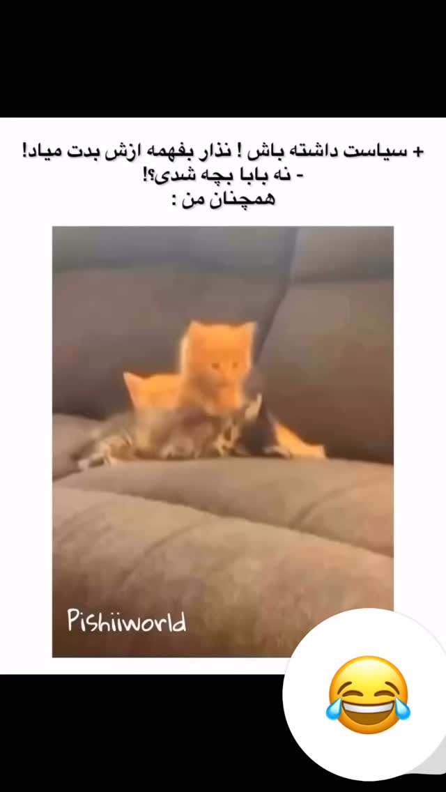  جدید ترین استوری اینستاگرام مهسا آقادادی