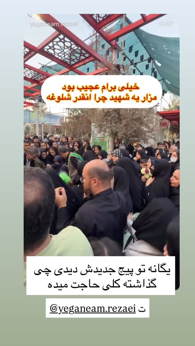  جدید ترین استوری اینستاگرام مهسا باصری