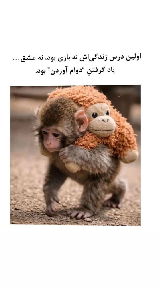  جدید ترین استوری اینستاگرام مهسا باصری