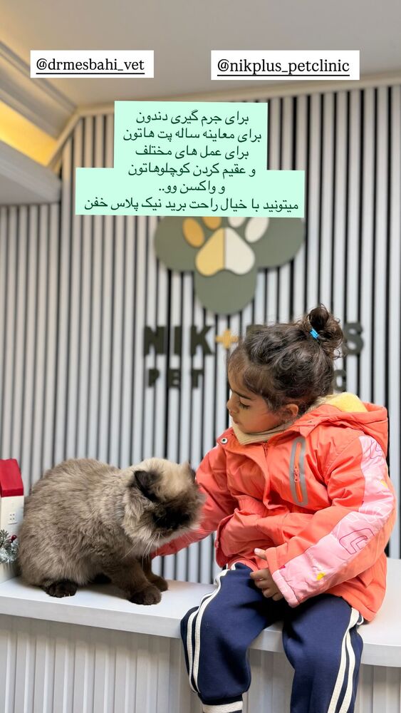  جدید ترین استوری اینستاگرام مهسا باصری