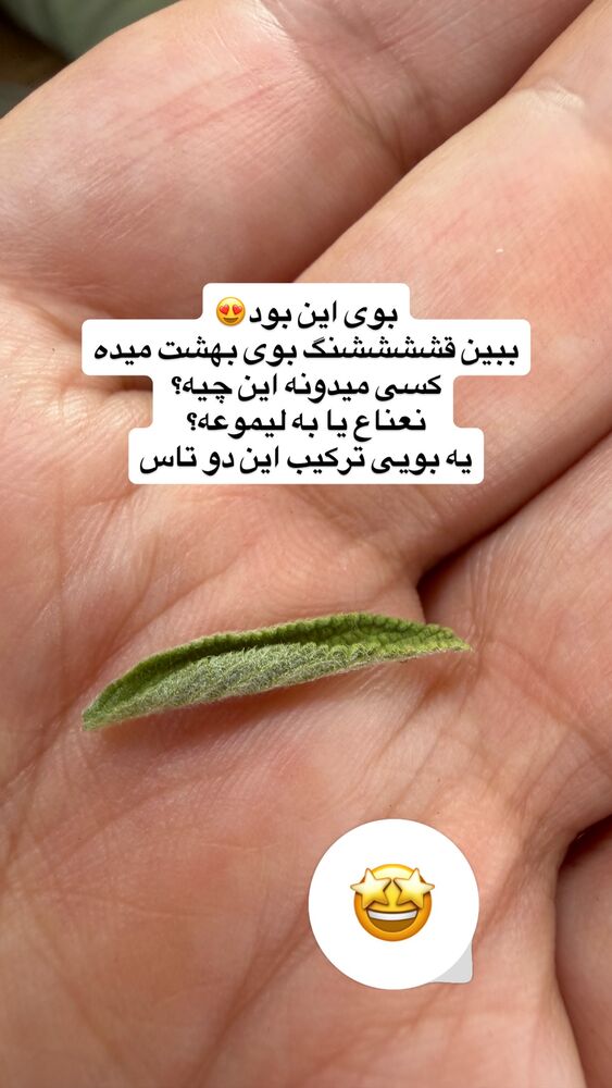  جدید ترین استوری اینستاگرام مهسا مهربان