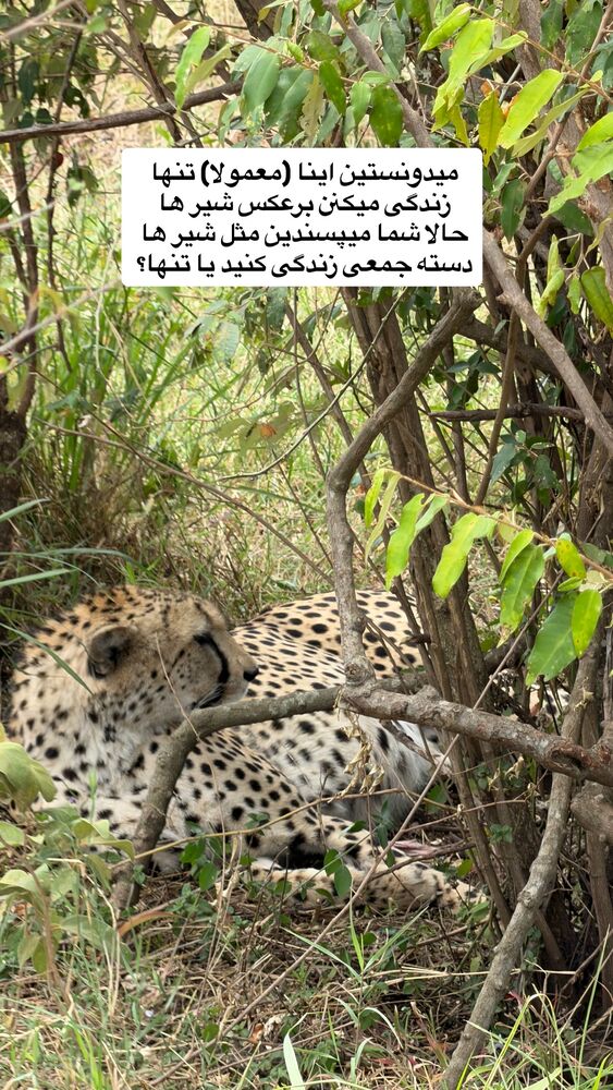  جدید ترین استوری اینستاگرام مهسا مهربان