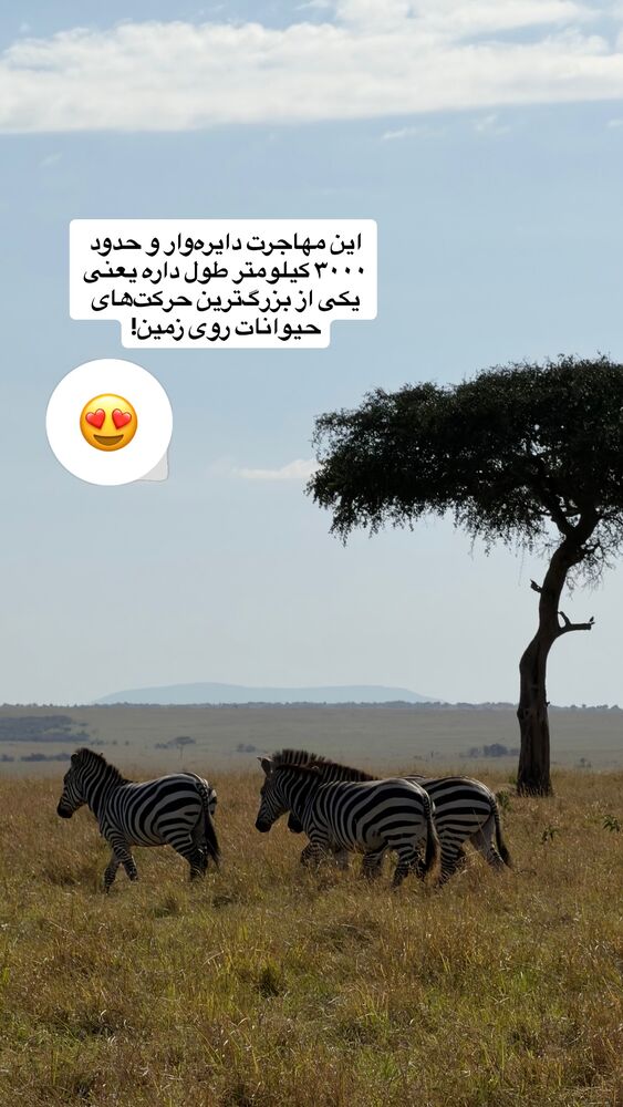  جدید ترین استوری اینستاگرام مهسا مهربان