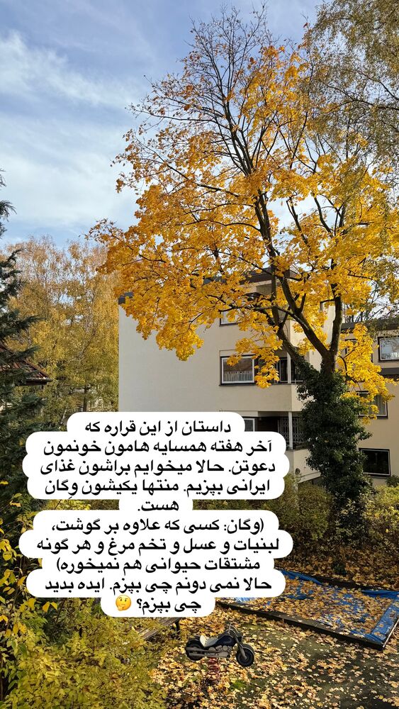  جدید ترین استوری اینستاگرام مهسا مهربان
