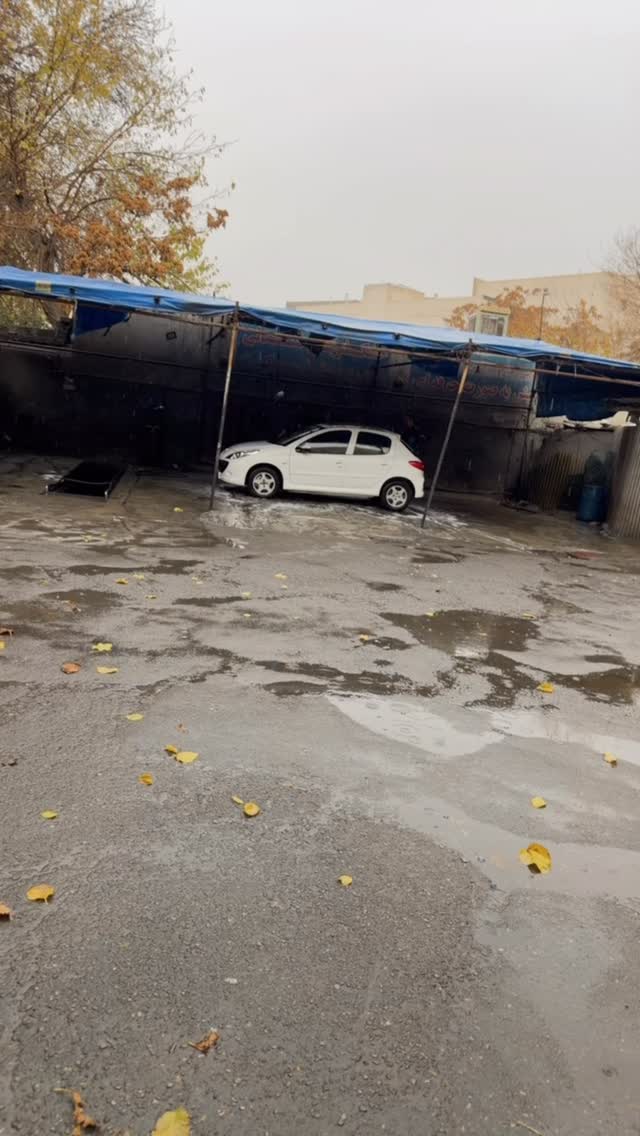  جدید ترین استوری اینستاگرام مهشید افخمی