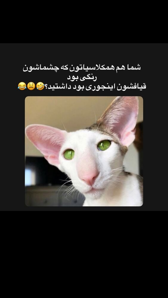  جدید ترین استوری اینستاگرام مهشید افخمی