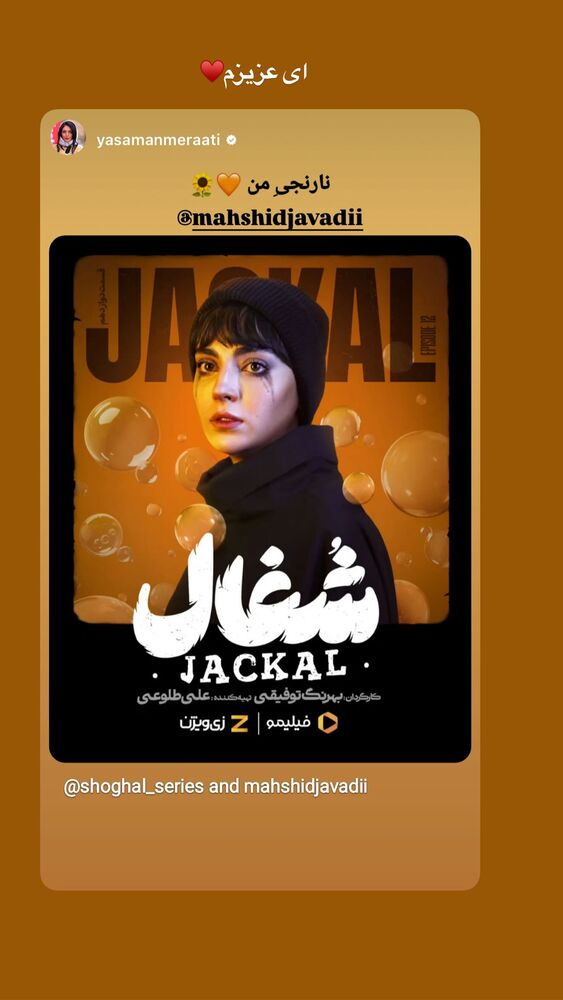  جدید ترین استوری اینستاگرام مهشید جوادی