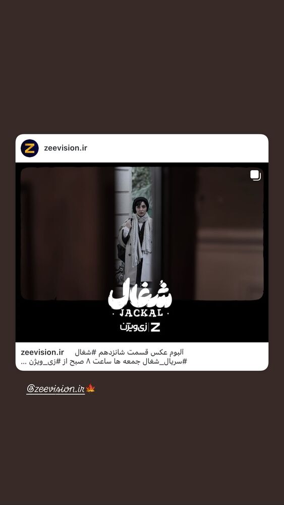  جدید ترین استوری اینستاگرام مهشید جوادی