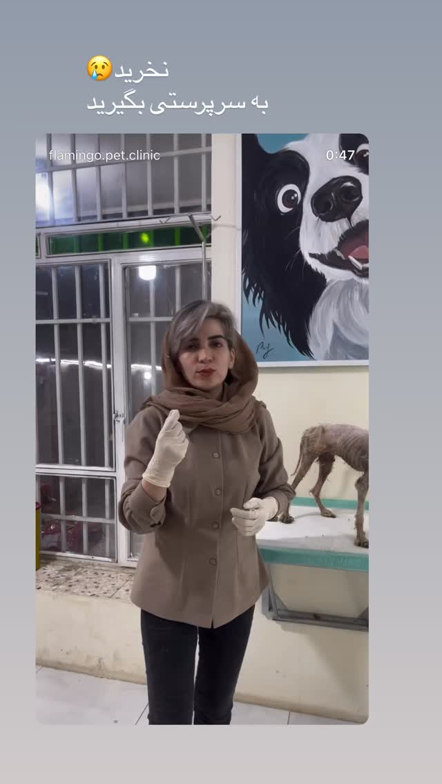  جدید ترین استوری اینستاگرام مهشید جوادی