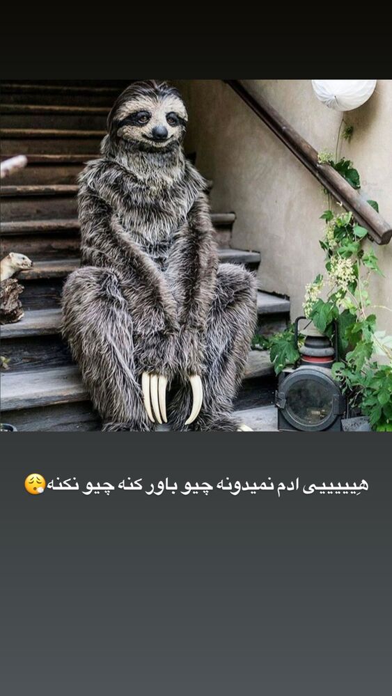  جدید ترین استوری اینستاگرام مهتاب چادری