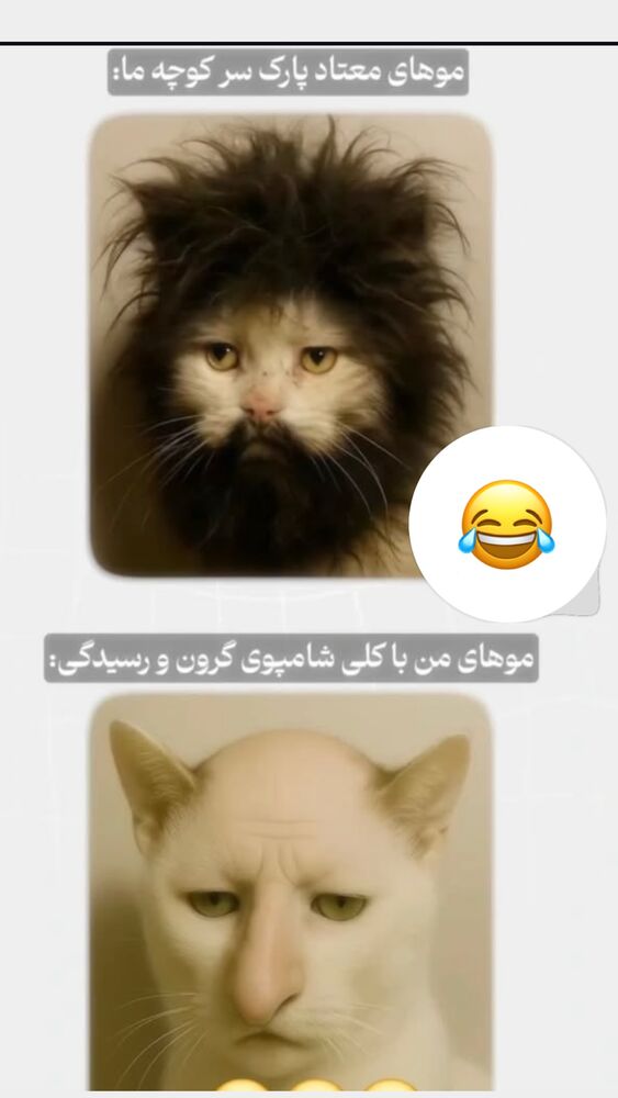  جدید ترین استوری اینستاگرام مهتاب چادری