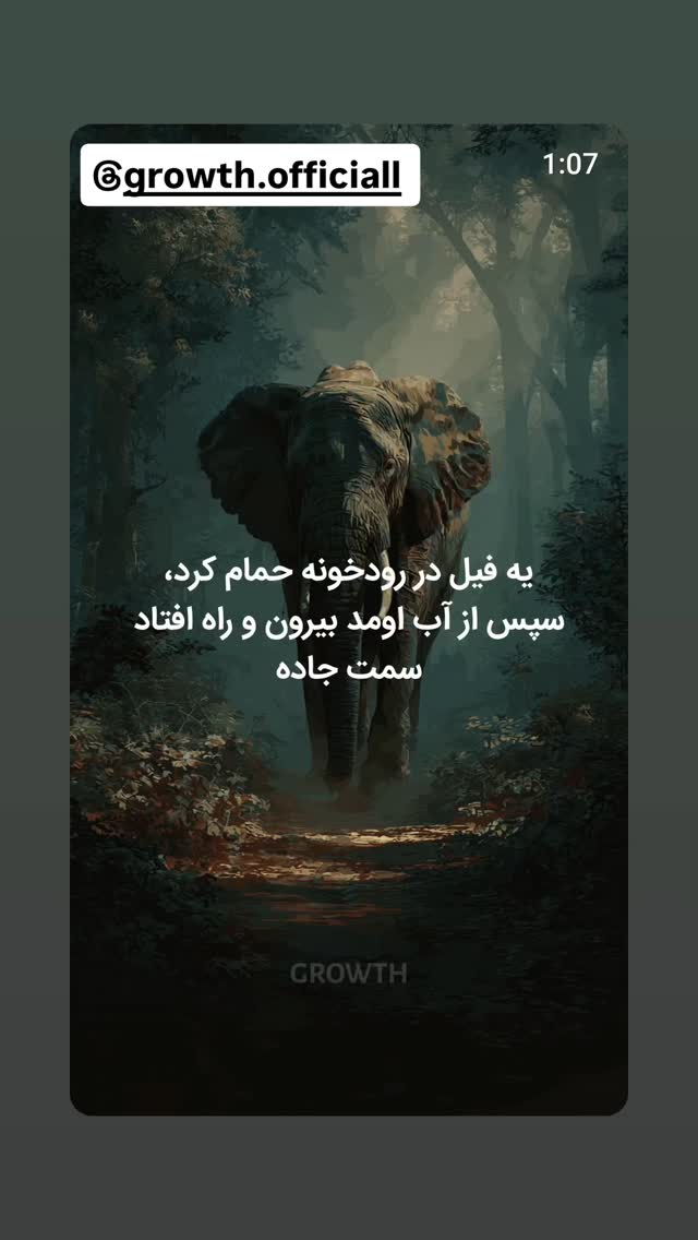  جدید ترین استوری اینستاگرام مهوش وقاری
