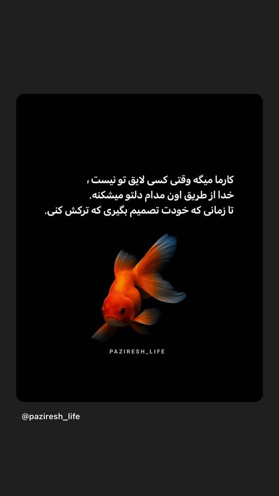  جدید ترین استوری اینستاگرام محیا دهقانی