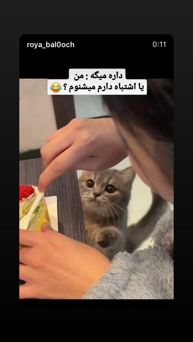  جدید ترین استوری اینستاگرام محیا دهقانی