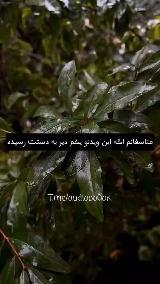  جدید ترین استوری اینستاگرام محیا دهقانی