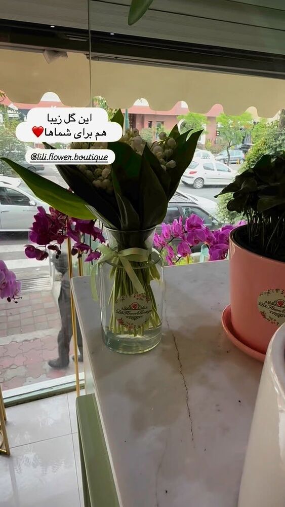 جدید ترین استوری اینستاگرام مهیار حسن