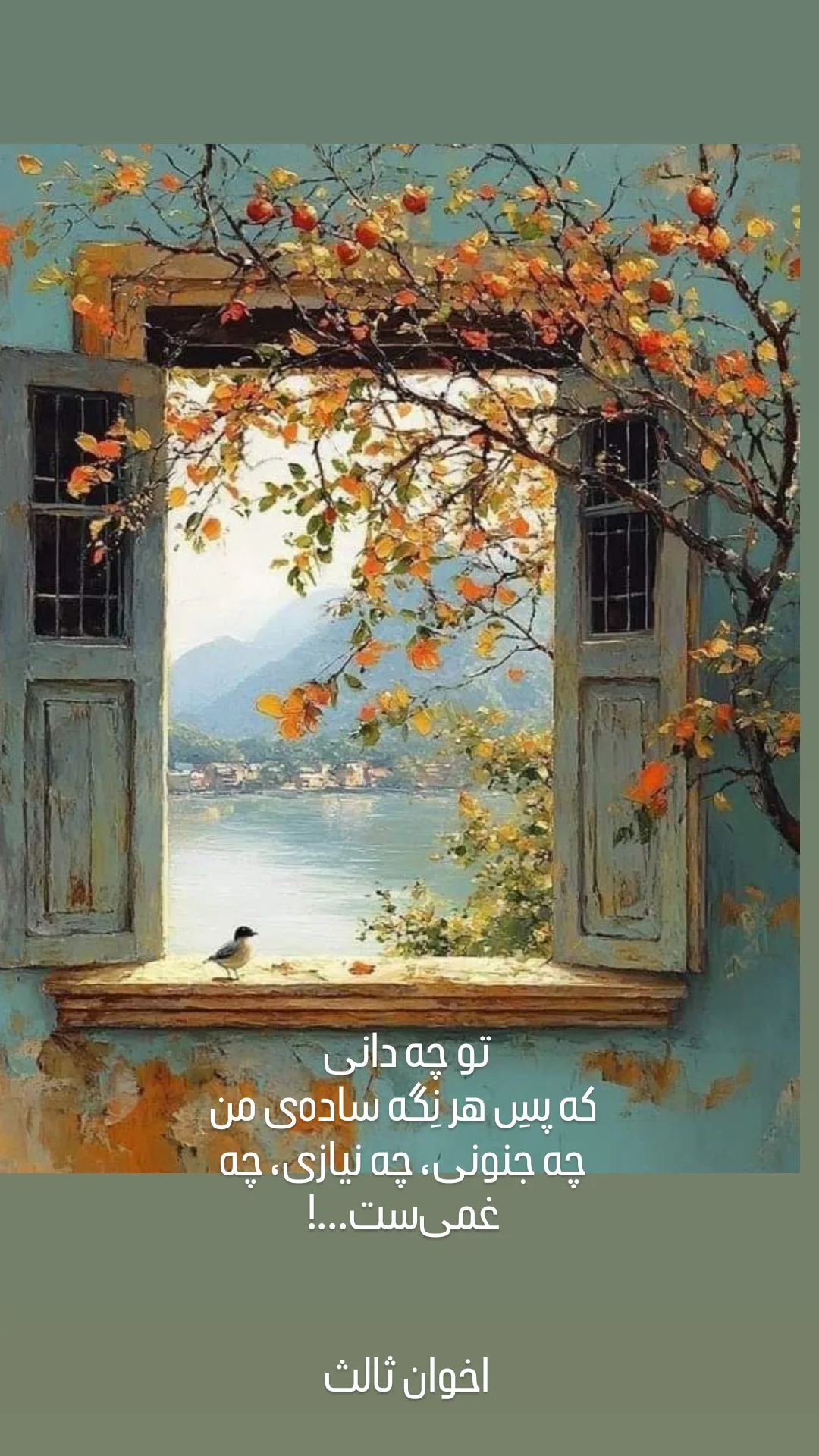  جدید ترین استوری اینستاگرام مهیار مجیب