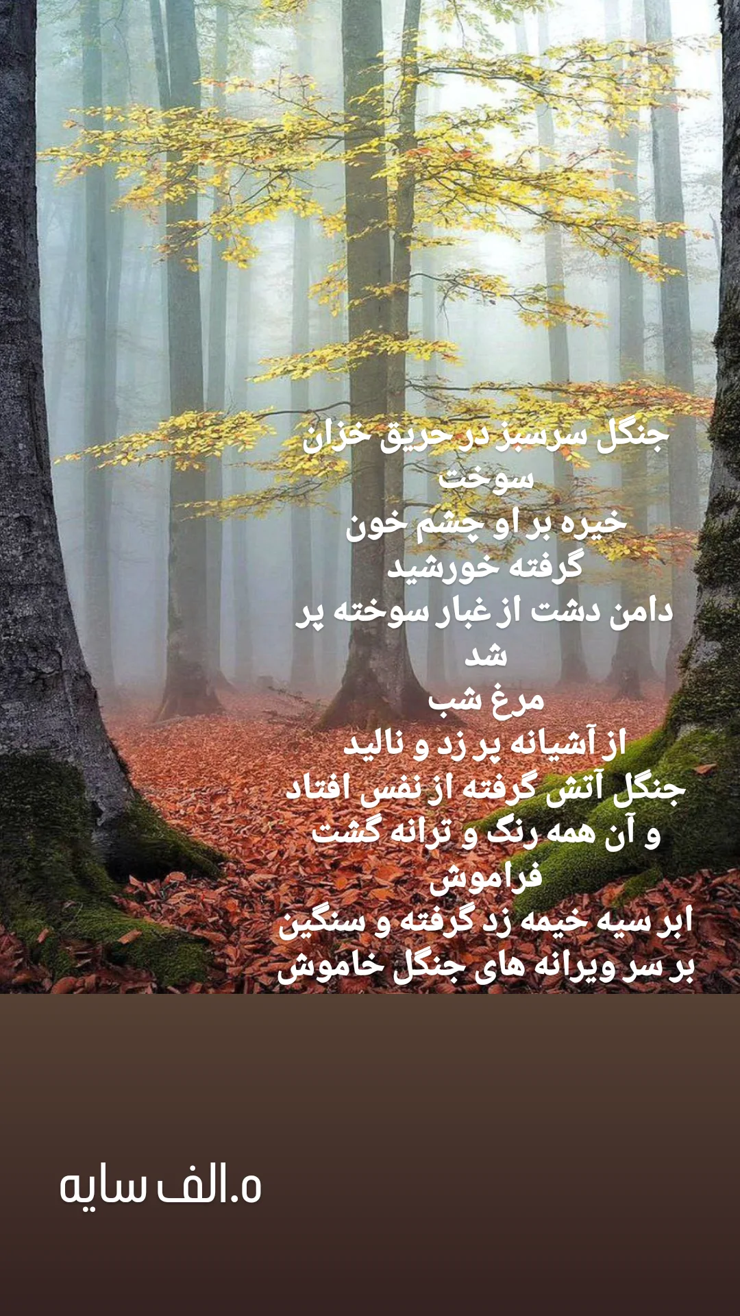  جدید ترین استوری اینستاگرام مهیار مجیب