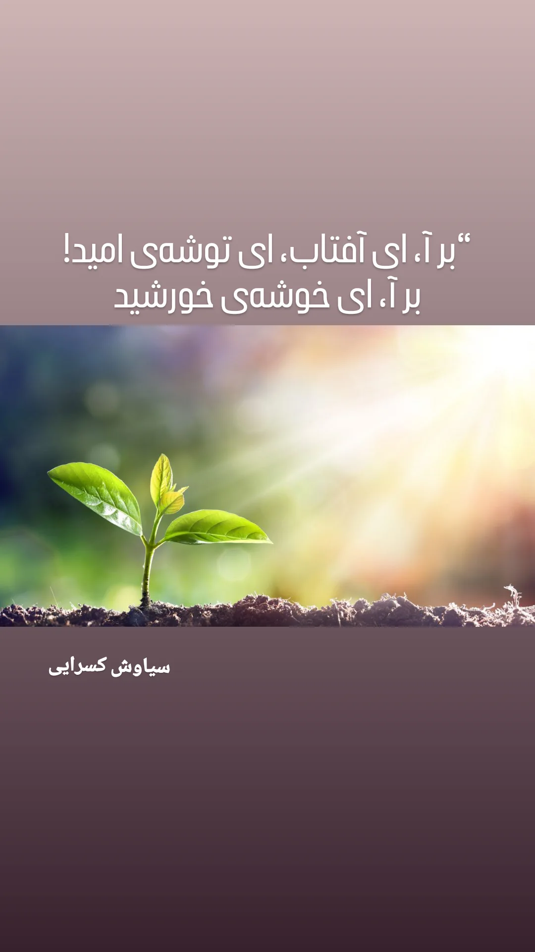  جدید ترین استوری اینستاگرام مهیار مجیب