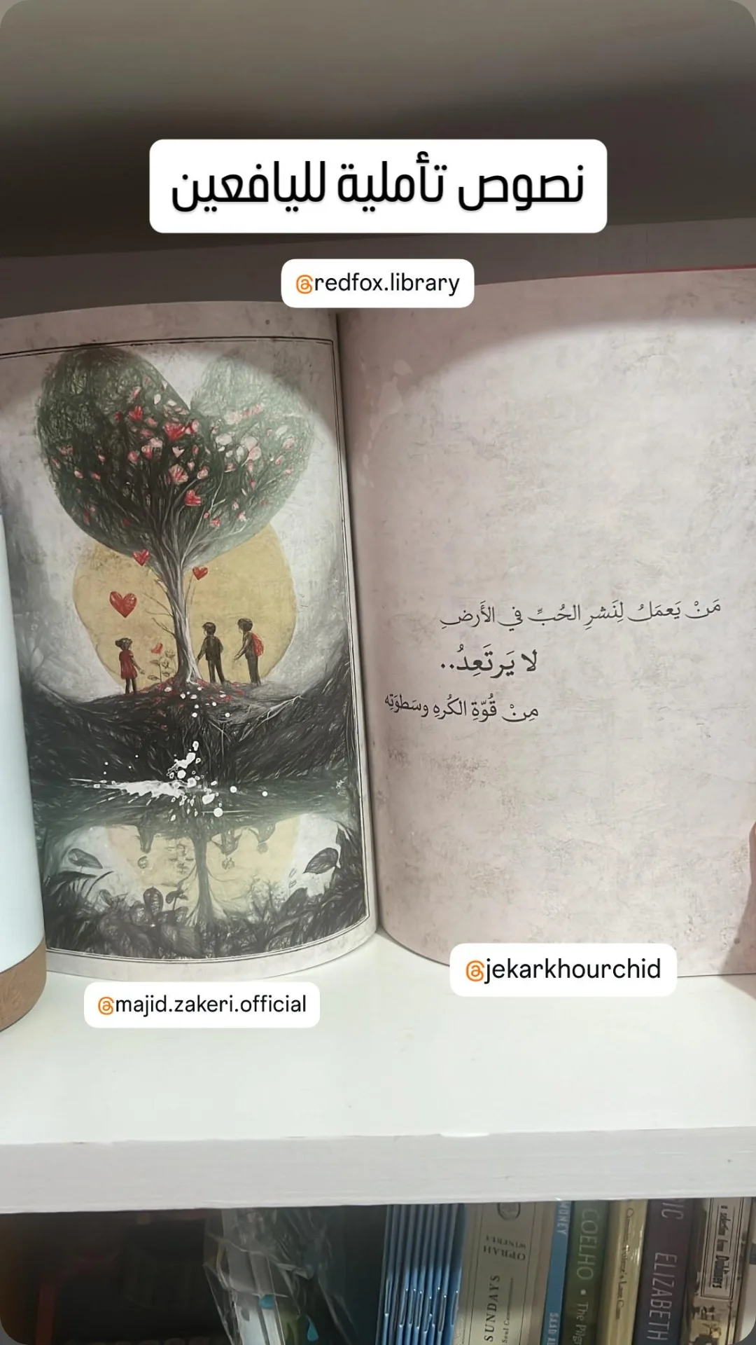  جدید ترین استوری اینستاگرام مجید ذاکری