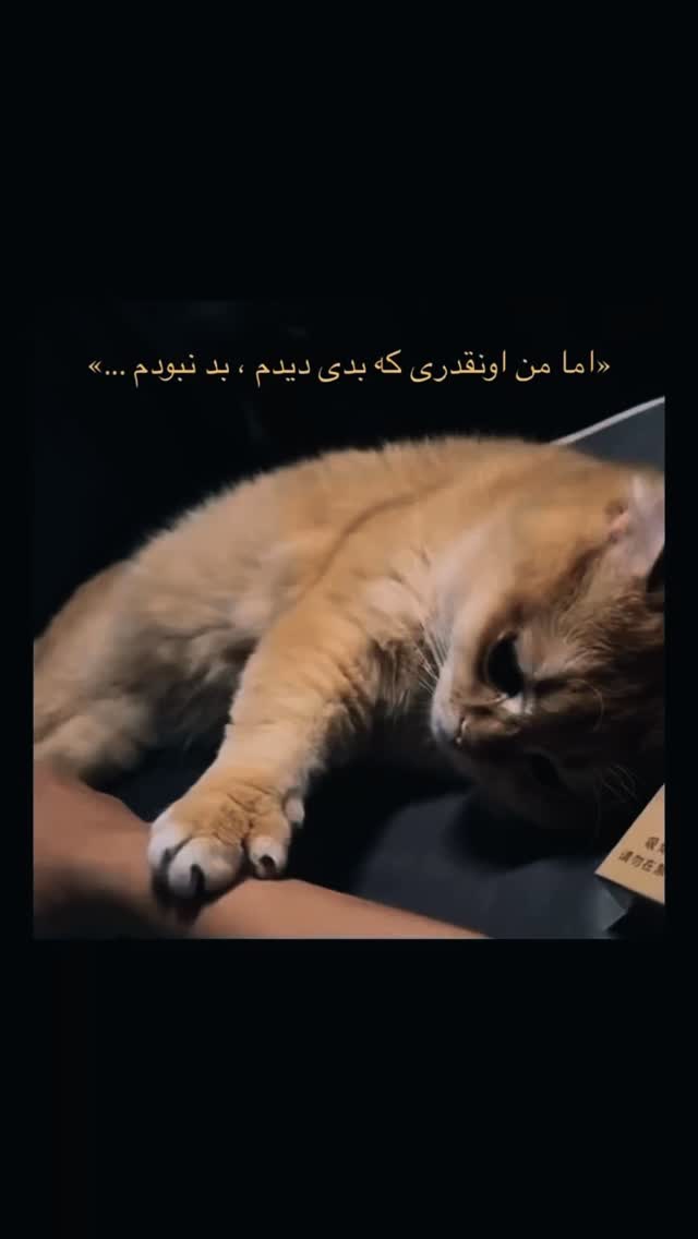  جدید ترین استوری اینستاگرام مجید خراطها
