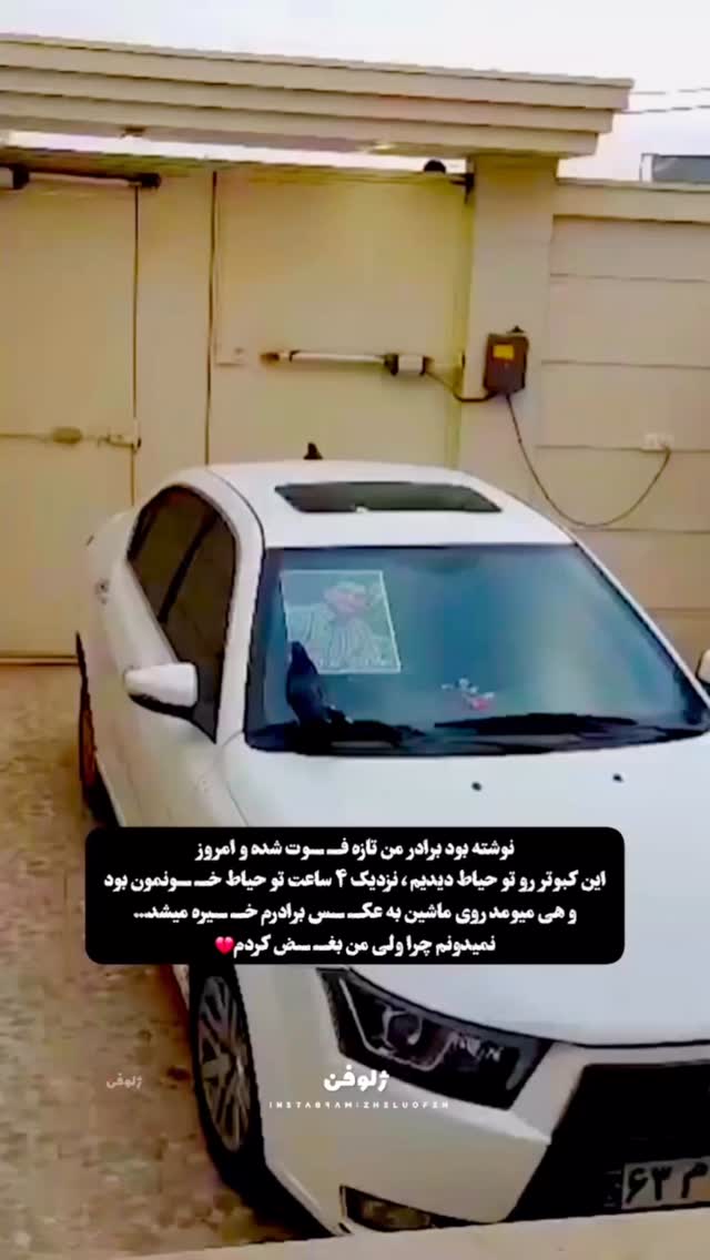  جدید ترین استوری اینستاگرام مجید خراطها