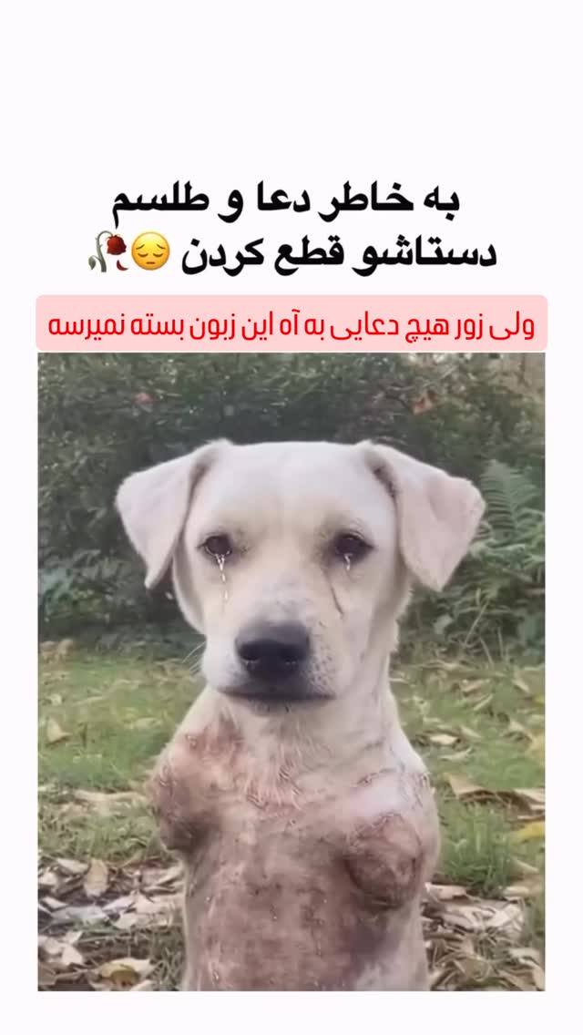  جدید ترین استوری اینستاگرام مجید خراطها