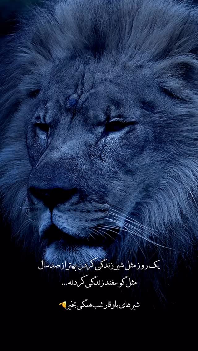  جدید ترین استوری اینستاگرام مجید خراطها