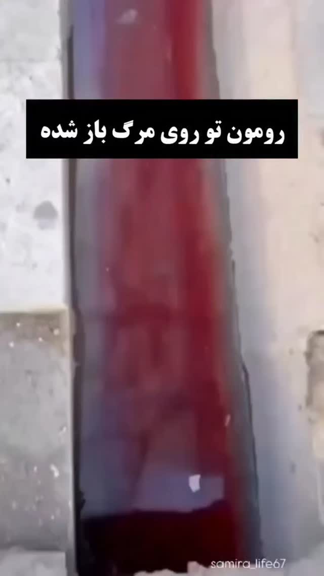  جدید ترین استوری اینستاگرام مجید سعیدی