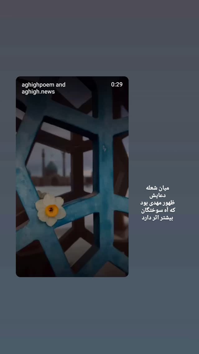  جدید ترین استوری اینستاگرام مجید تال