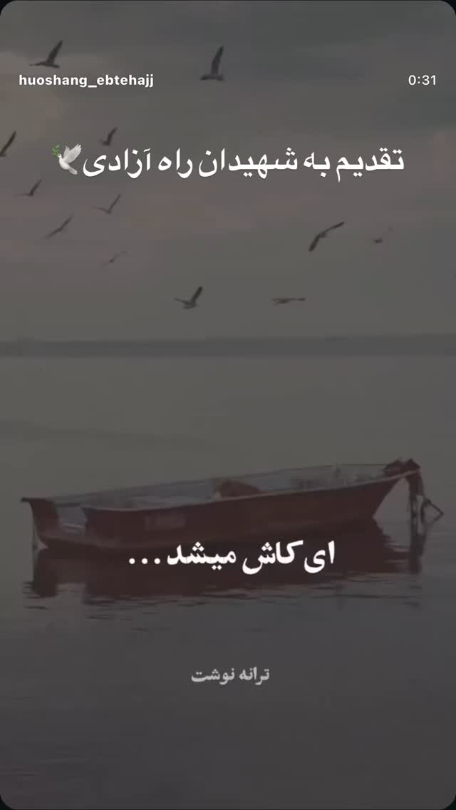  جدید ترین استوری اینستاگرام مجید یاسر