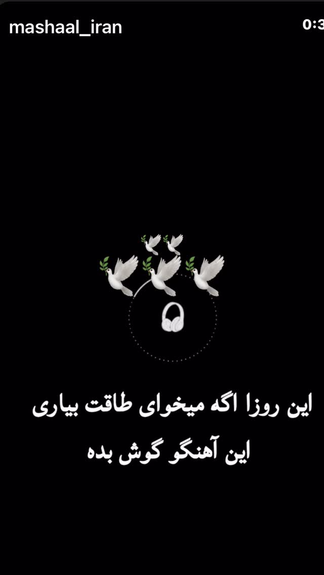  جدید ترین استوری اینستاگرام مجید یاسر