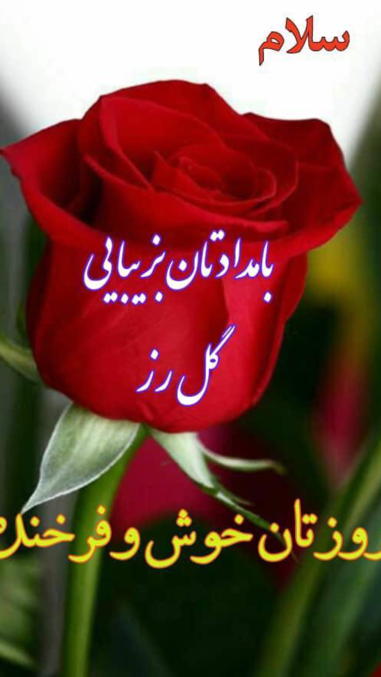  جدید ترین استوری اینستاگرام ماکان شفیعی