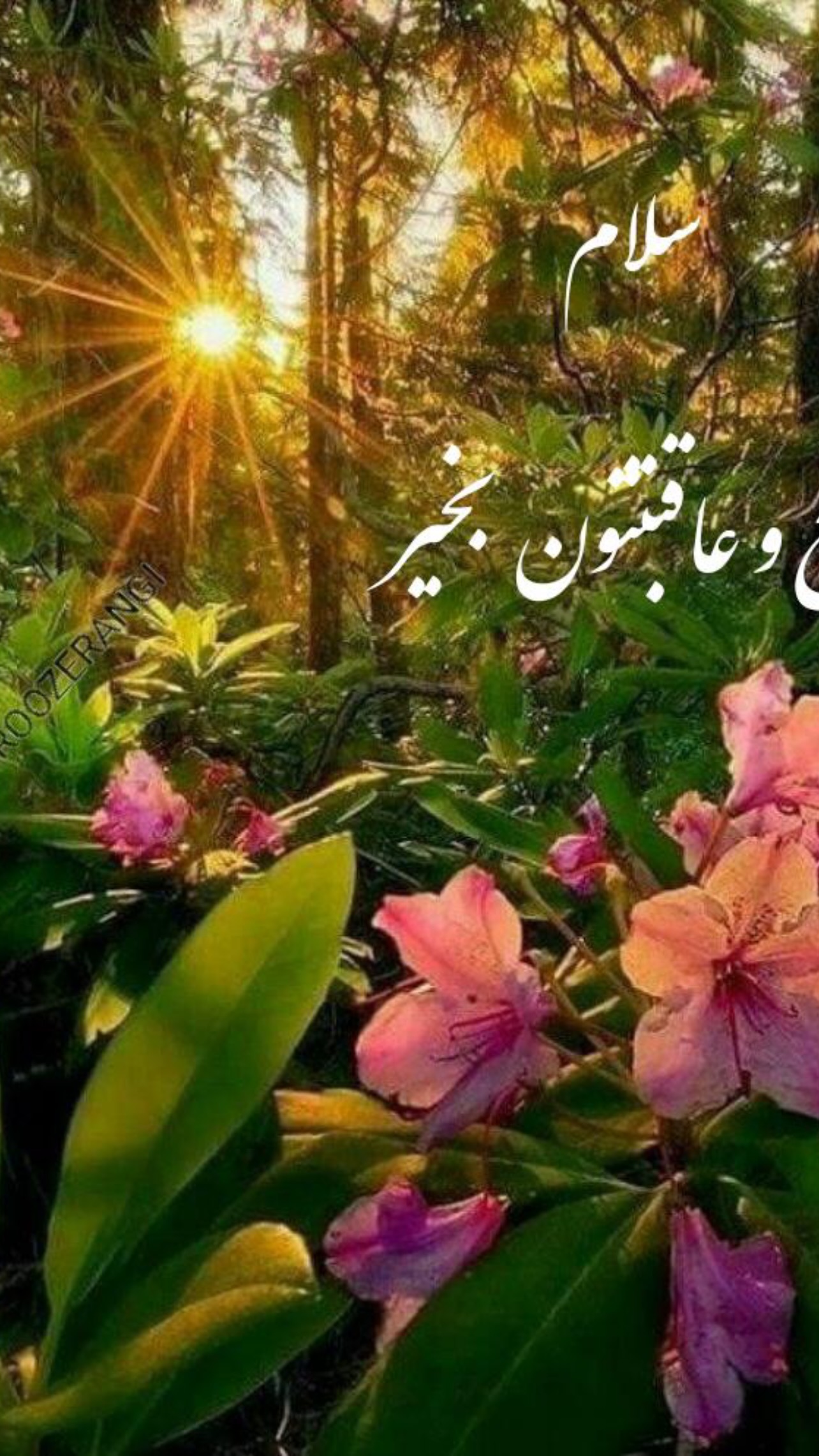  جدید ترین استوری اینستاگرام ماکان شفیعی