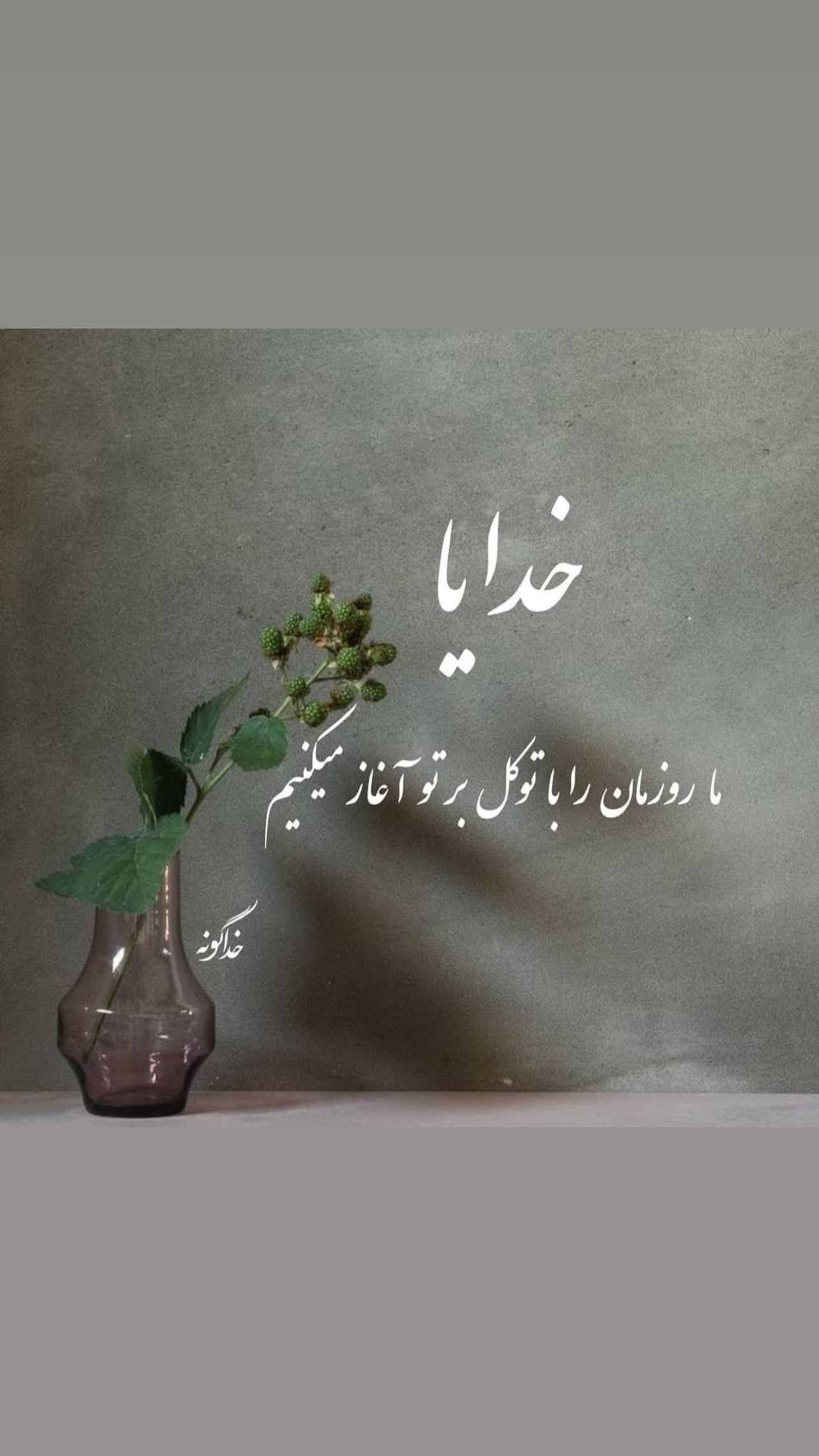  جدید ترین استوری اینستاگرام ماکان شفیعی